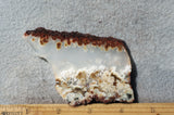 Nydegger Plume Agate 49