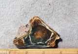 Morrisonite Jasper Rock Slab 267