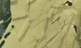 Morrisonite Jasper Rock Slab 280