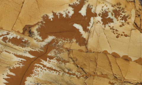 Owyhee Jasper Rock Slab 334