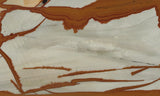 Owyhee Jasper Rock Slab 352