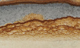 Oregon Picture Jasper Rock Slab 462