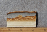 Oregon Picture Jasper Rock Slab 462