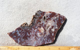 Curiosity Shop Rock Slab 416