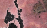 Rhodonite Rock Slab 95