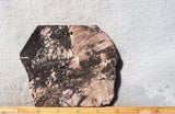 Rhodonite Rock Slab 94