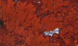 Cady Mountain Rock Slab 191