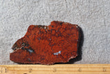Cady Mountain Rock Slab 191