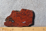 Cady Mountain Rock Slab 191