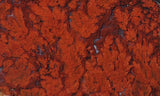Cady Mountain Rock Slab 187