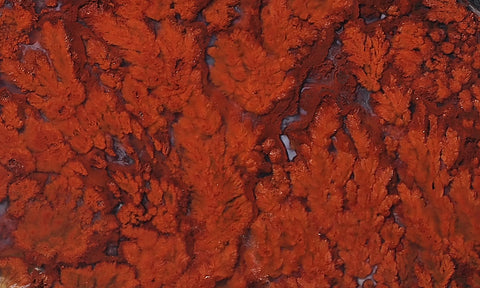 Cady Mountain Rock Slab 187