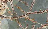 Sonoran Dendritic Rhyolite Rock Slab 454