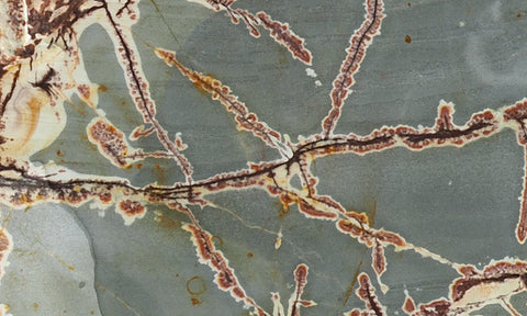 Sonoran Dendritic Rhyolite Rock Slab 454