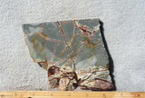 Sonoran Dendritic Rhyolite Rock Slab 454