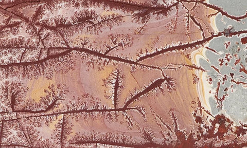 Sonoran Dendritic Rhyolite Rock Slab 453