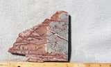 Sonoran Dendritic Rhyolite Rock Slab 453