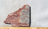 Sonoran Dendritic Rhyolite Rock Slab 453