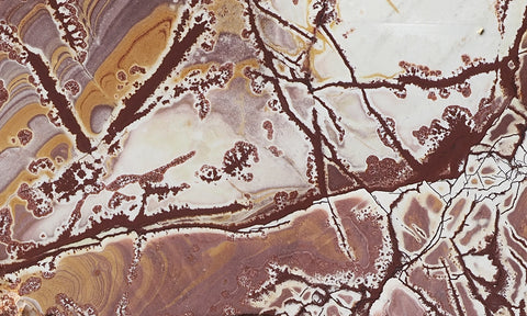 Sonoran Dendritic Rhyolite Rock Slab 456