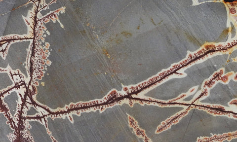 Sonoran Dendritic Rhyolite Rock Slab 455