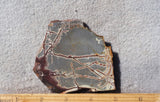 Sonoran Dendritic Rhyolite Rock Slab 455