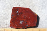 Curiosity Shop Rock Slab 438