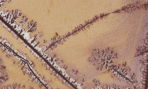 Sonoran Dendritic Rhyolite Rock Slab 458