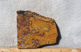 Stone Canyon Rock Slab 92