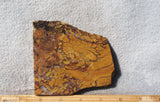 Stone Canyon Rock Slab 92