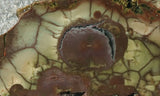 Spiderweb Jasper Slab 77
