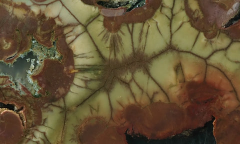 Spiderweb Jasper Slab 77