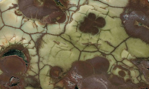 Spiderweb Jasper Slab 78