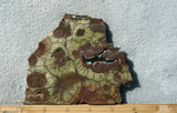 Spiderweb Jasper Slab 78