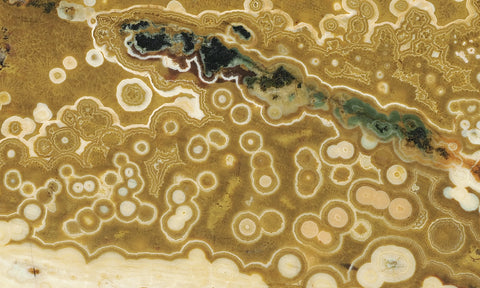 Curiosity Shop Rock Slab 461