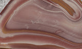 Bargain Bin E Slab 181