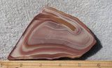 Bargain Bin E Slab 181