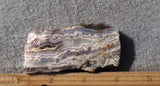 Sunrise Plume Agate Slab 94