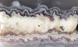 Sunrise Plume Agate Slab 97