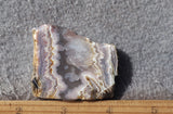 Sunrise Plume Agate Slab 98