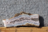 Sunrise Plume Agate Slab 95