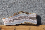 Sunrise Plume Agate Slab 95