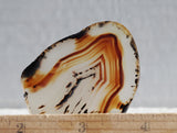Montana Agate Rock Slab 210