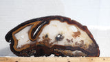 Brazilian Agate Rock Slab 191