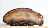 Brazilian Agate Rock Slab 188
