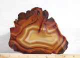 Brazilian Agate Rock Slab 189