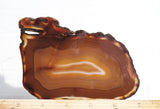 Brazilian Agate Rock Slab 178