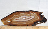 Brazilian Agate Rock Slab 179