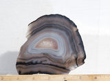 Brazilian Agate Rock Slab 176