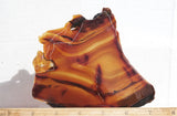 Brazilian Agate Rock Slab 196
