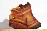 Brazilian Agate Rock Slab 196