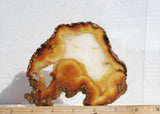 Brazilian Agate Rock Slab 194